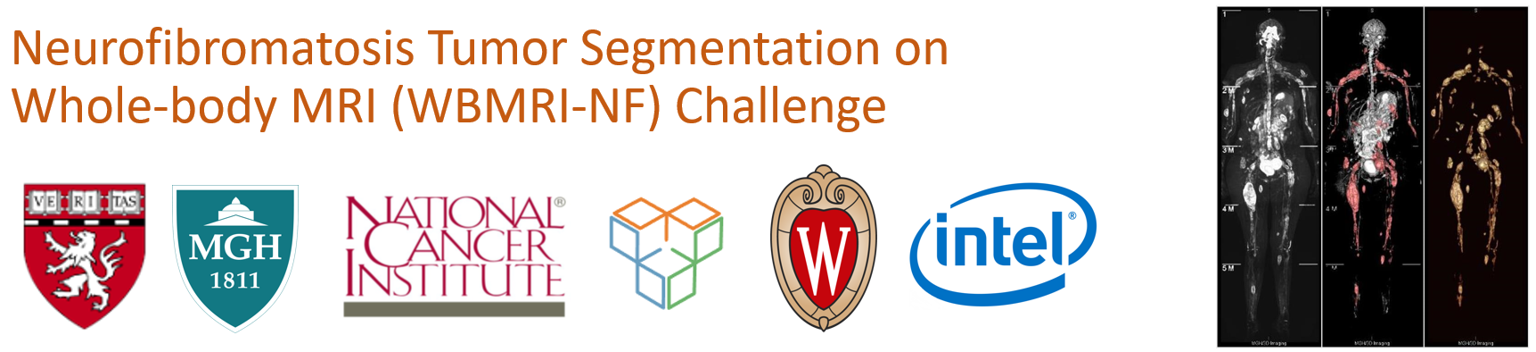 WBMRI-NF 2023: Neurofibromatosis Tumor Segmentation on Whole-body MRI Challenge Banner